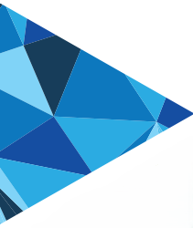 Mahi Mahi Digital Solutions - Blue triangle2