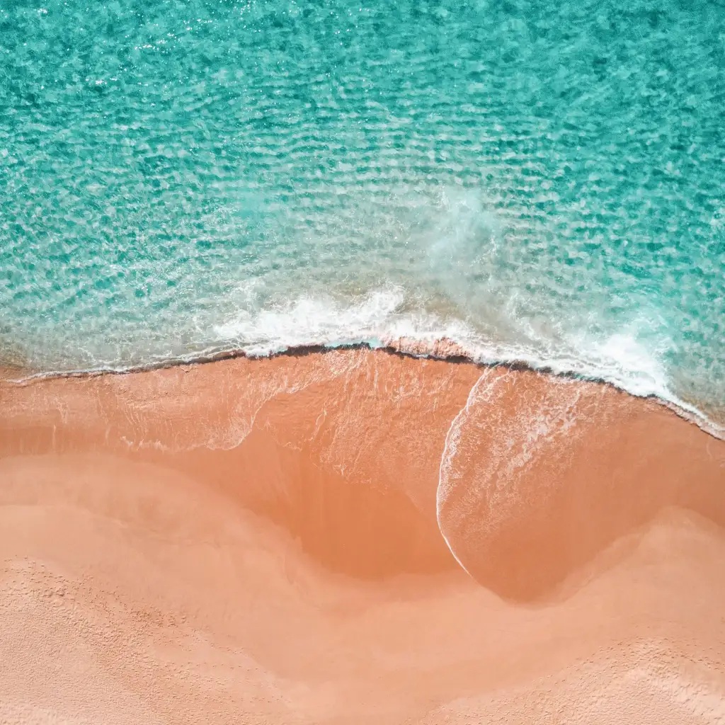 jared-rice-d4mc9bnscse-unsplash
